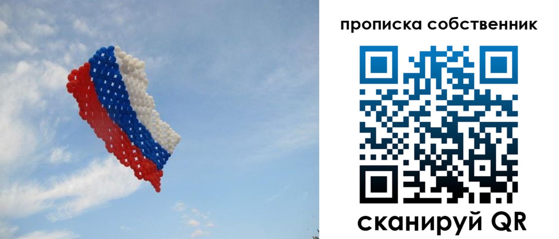 временная регистрация поиск в Мытищах